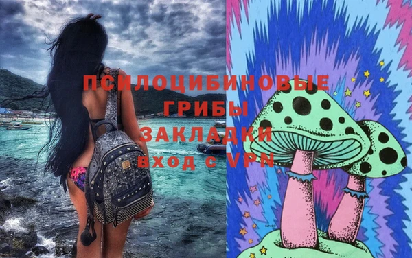 кокс Дмитровск